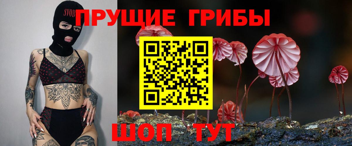 COCAIN Курчалой