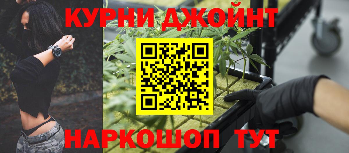 Каннабис SATIVA & INDICA Курчалой